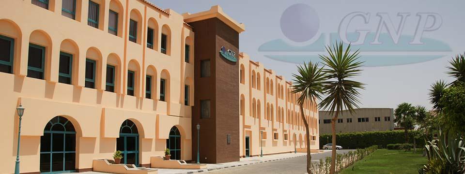 Global Napi Pharmaceuticals, Egypt Global Napi Pharmaceuticals, Egypt